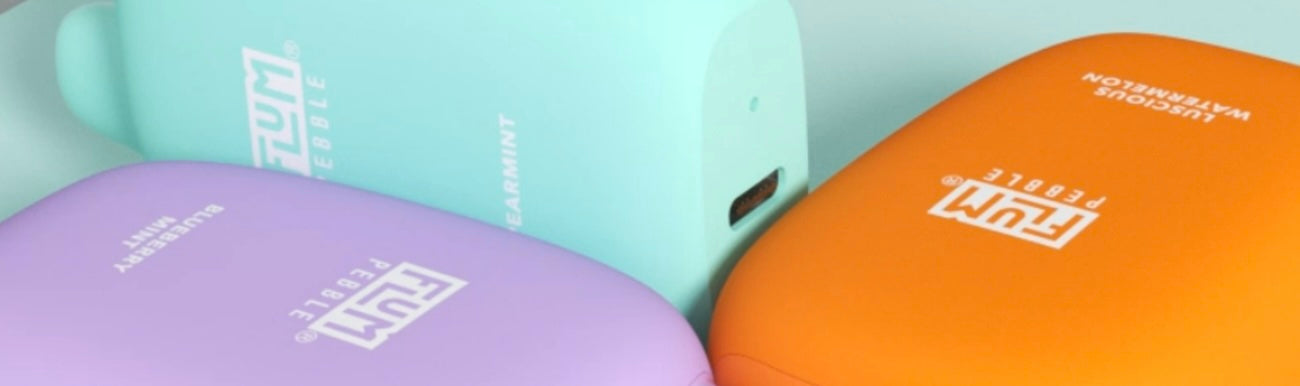 Flum Pebble Review