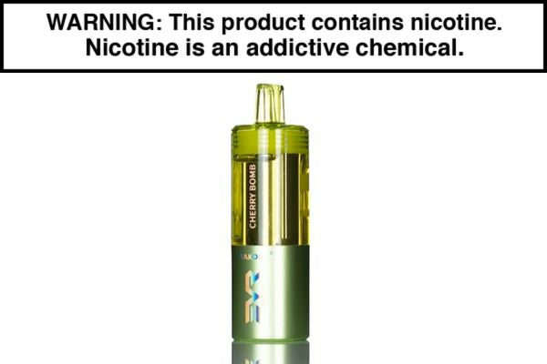 EVRFOG DISPOSABLE REPLACEMENT PODS - 100,000 PUFFS - Image 3