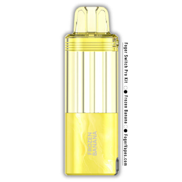 FOGER SWITCH PRO 30K TX DISPOSABLE POD - 30,000 PUFFS