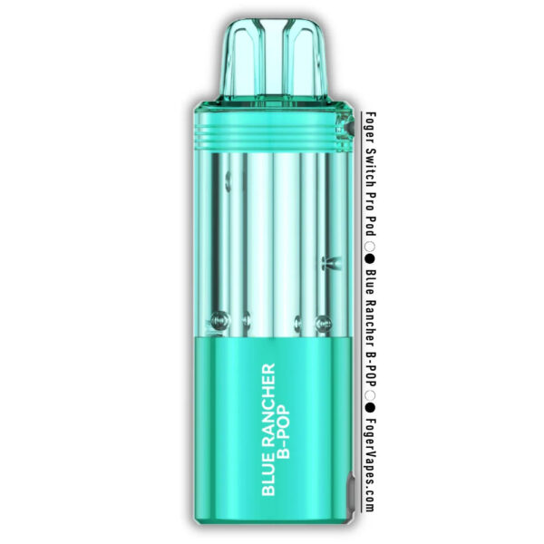 FOGER SWITCH PRO 30K TX DISPOSABLE POD - 30,000 PUFFS