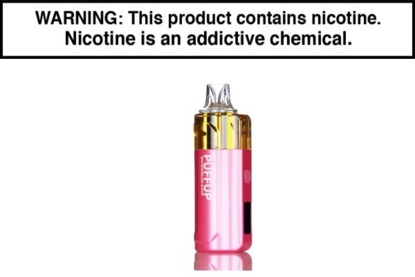 PUFFUP 25K DISPOSABLE VAPE - 25,000 PUFFS - Image 19